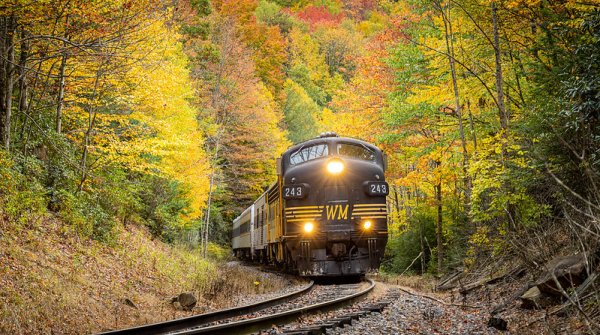 Bus Travel Tours NC